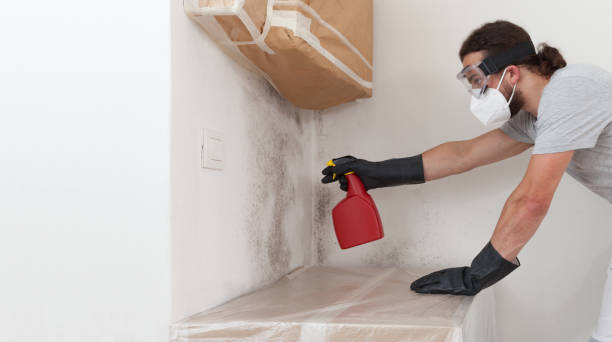 Professional Bathroom Mold Removal technician working in Jamestown, TN