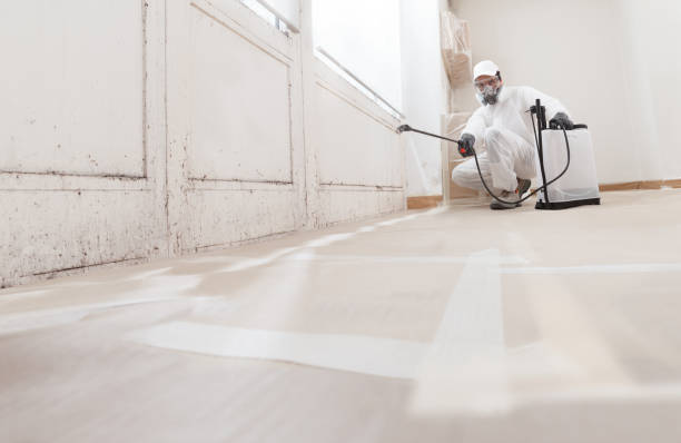 24/7 Emergency Bathroom Mold Removal experts in Jamestown, TN